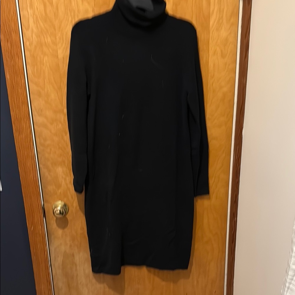Black Turtleneck J Crew Sweater Dress